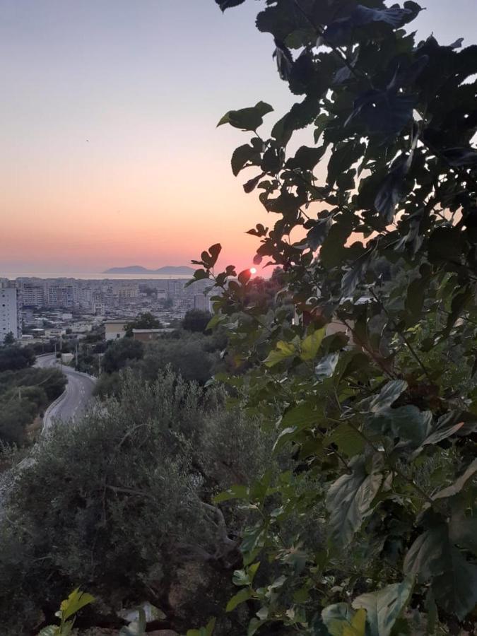 Vila Oliven Vlorë Eksteriør bilde