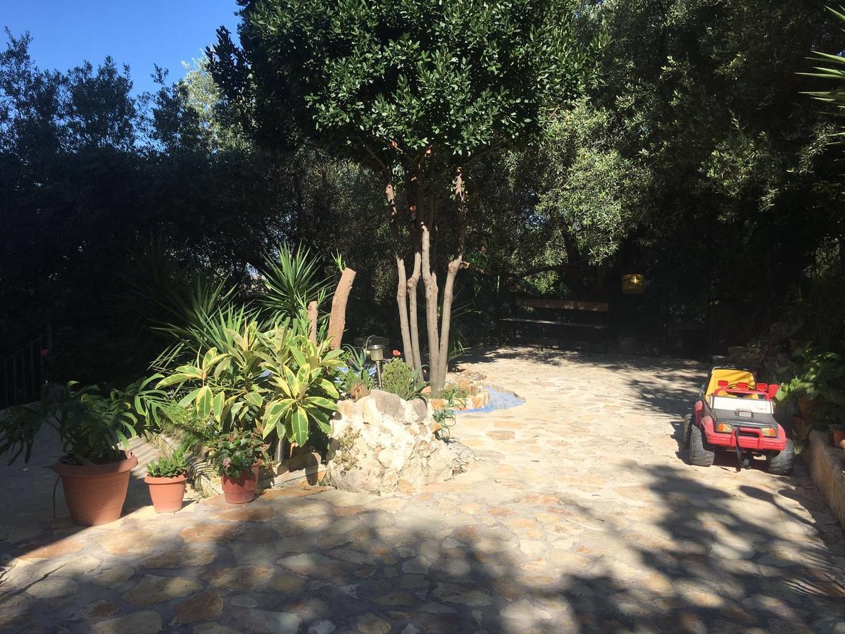 Vila Oliven Vlorë Eksteriør bilde