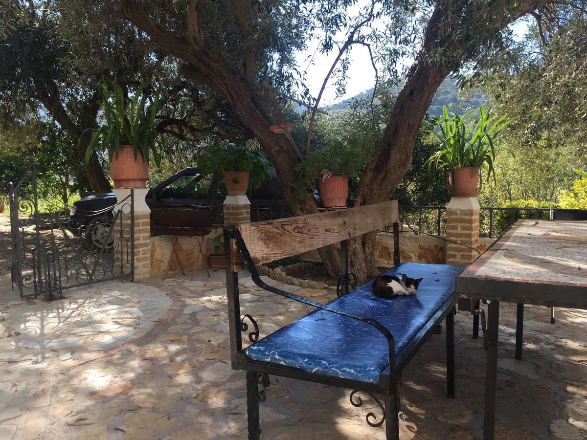 Vila Oliven Vlorë Eksteriør bilde