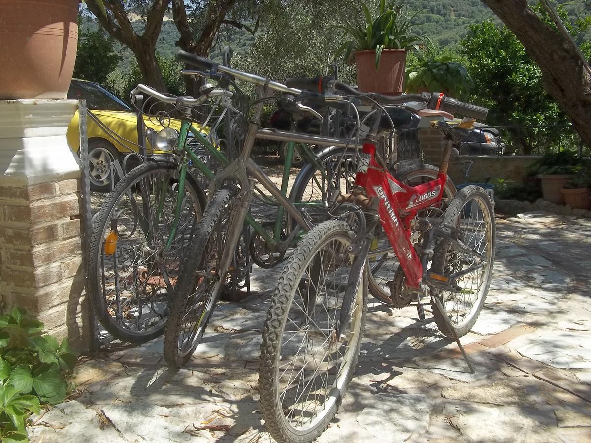 Vila Oliven Vlorë Eksteriør bilde